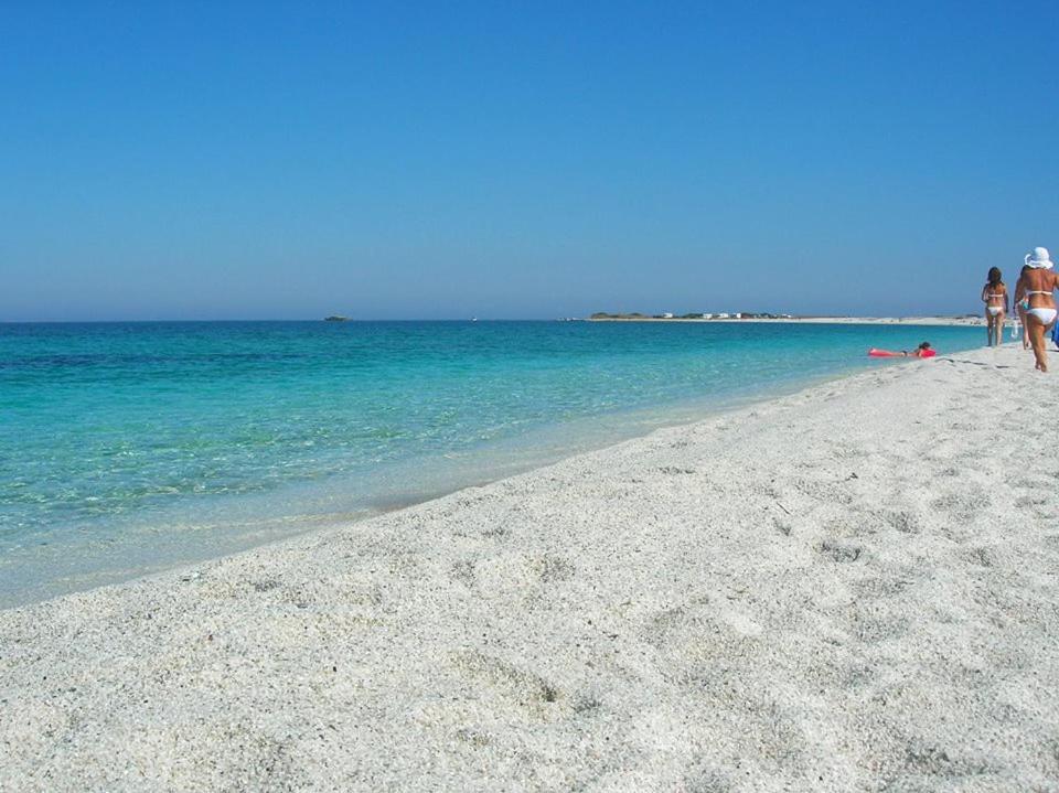 Sardinia Eco Vegan House Bed & Breakfast Zeddiani Екстериор снимка