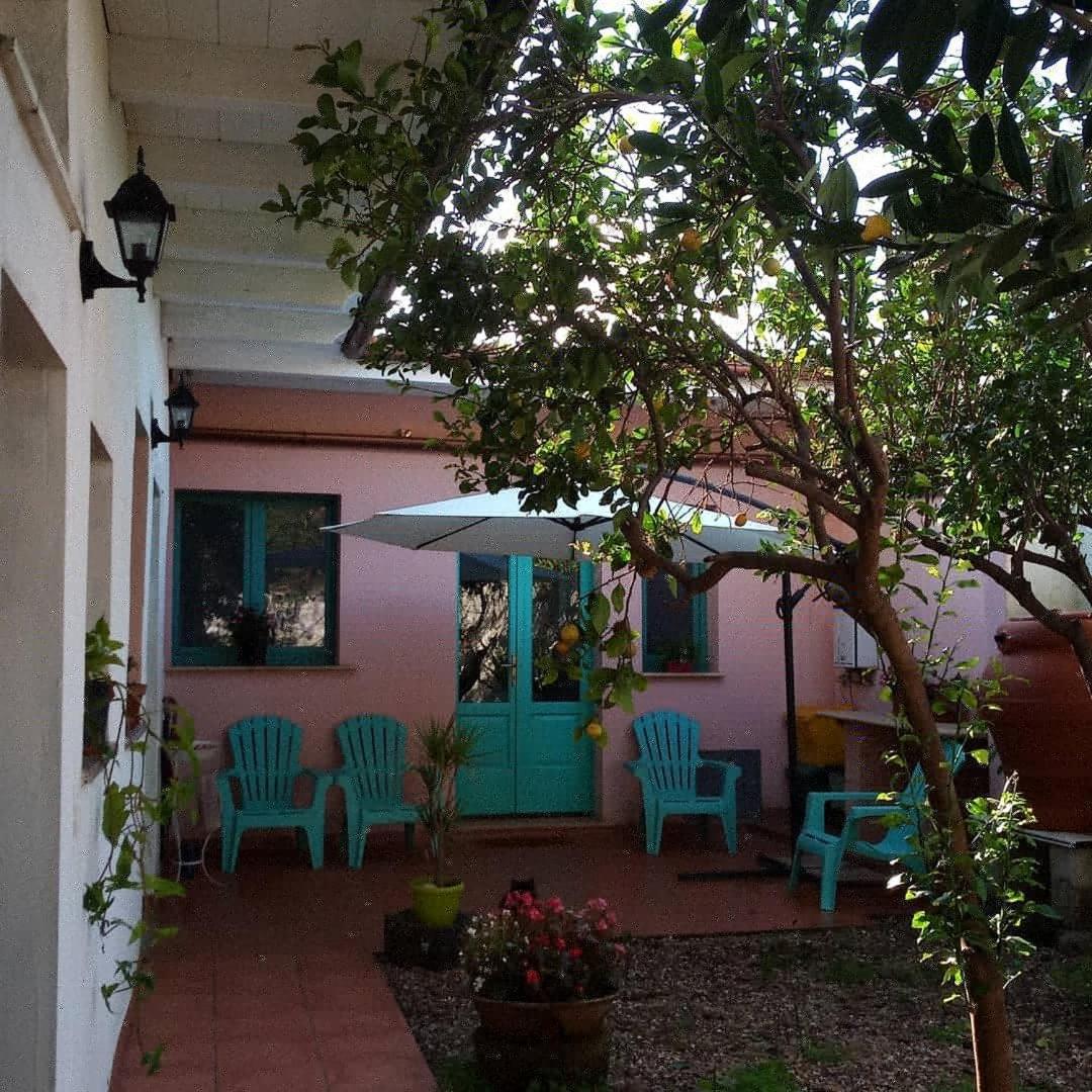 Sardinia Eco Vegan House Bed & Breakfast Zeddiani Екстериор снимка