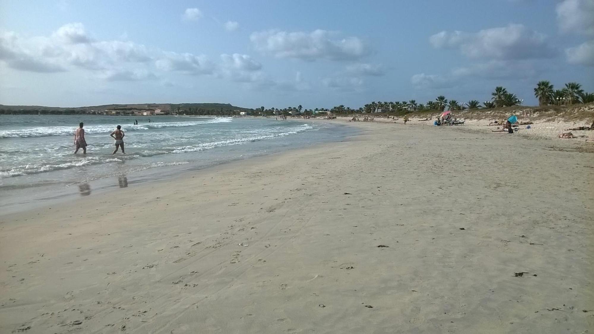 Sardinia Eco Vegan House Bed & Breakfast Zeddiani Екстериор снимка