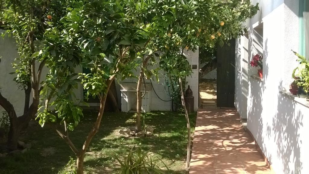 Sardinia Eco Vegan House Bed & Breakfast Zeddiani Екстериор снимка